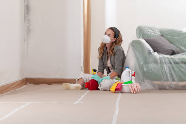 Reliable Basement Mold Removal contractor in Chantilly, VA by WQB Mold Removal